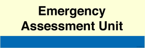 NHS Style Emergency Assessment Unit